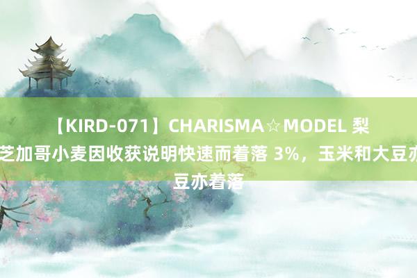 【KIRD-071】CHARISMA☆MODEL 梨々花 芝加哥小麦因收获说明快速而着落 3%,玉米和大豆亦着落