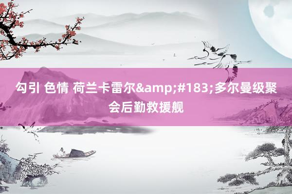 勾引 色情 荷兰卡雷尔·多尔曼级聚会后勤救援舰