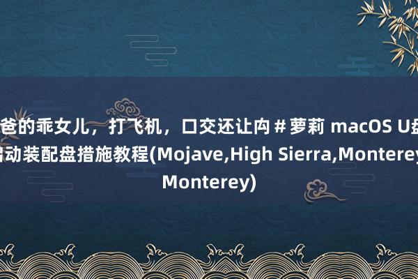 爸爸的乖女儿,打飞机,口交还让禸#萝莉 macOS U盘/启动装配盘措施教程(Mojave,High Sierra,Monterey)