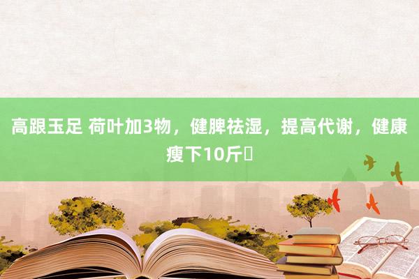 高跟玉足 荷叶加3物,健脾祛湿,提高代谢,健康瘦下10斤